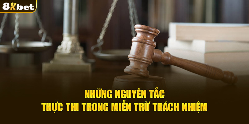 Những nguyên tắc thực thi trong miễn trừ trách nhiệm 